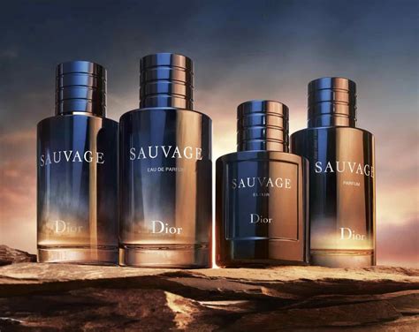 sauvage dior meaning|dior sauvage differences.